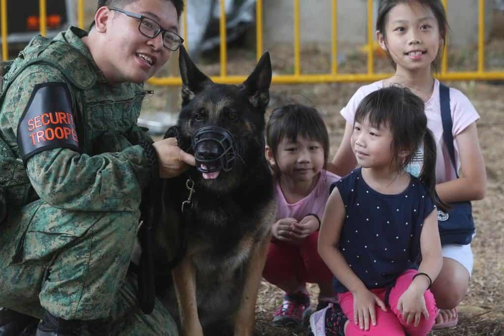 This Is How It's Like To Work With Military Dogs In Singapore
